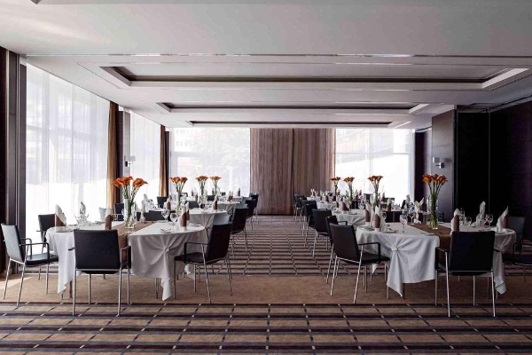 Hotel Pullman Dresden Newa
